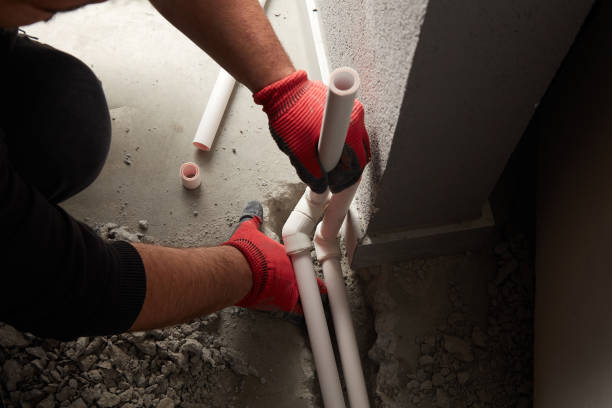 Best Toilet Repair Services  in Abbotsford, WI
