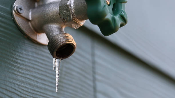 Best Septic Systems  in Abbotsford, WI